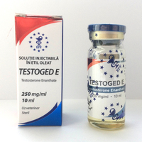 Testoged E (Тестостерон Энантат)